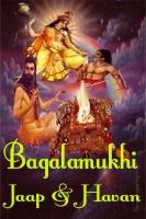 Mahavidya Bagalamukhi jaap and havan