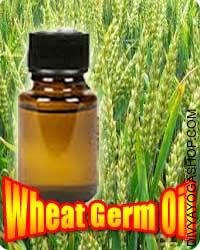 Wheat Germ (Triticum Vulgare) Oil 