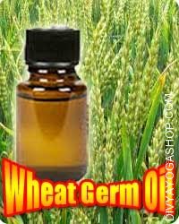 Wheat Germ (Triticum Vulgare) Oil