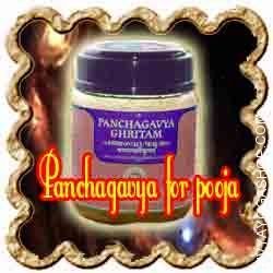 panchagavya-for-puja.jpg