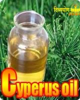 Cyperus (Cyprus Scarioses) oil