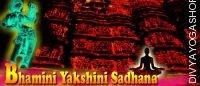 Bhamini yakshini sadhana