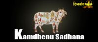 Kamdhenu sadhana for wealth