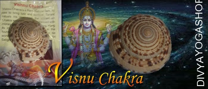 Vishnu chakra for good luck