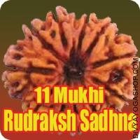 Enhance your luck with Eleven Mukhi Rudraksha Sadhana