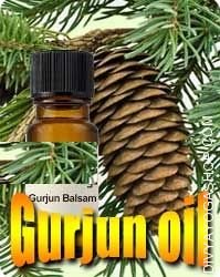 Gurjun oil