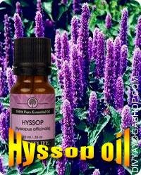 Hyssop oil