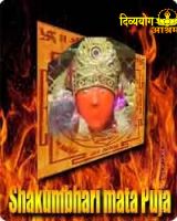 Shakumbhri Devi yantra