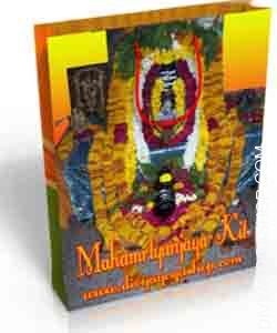 Mahamrtyunjaya Spiritual kit for health