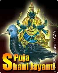 Puja on shani jayanti for remove obstacles