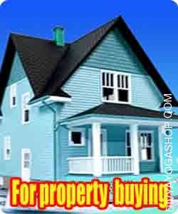 Articles for property buying