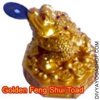 Golden Feng Shui Toad