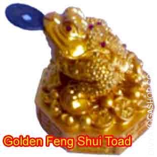 golden-fengshui-toad.jpg