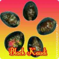 Black Kaudi or Kali Kaudi for removing negative energy