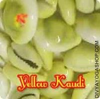 Yellow Kaudi for wealth