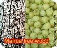 Mohwa tree wood for havan