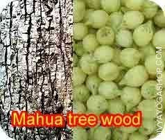 mahia-tree-wood-for-havan
