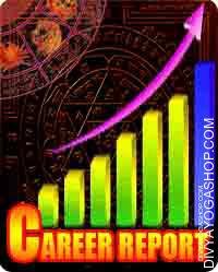 Career report