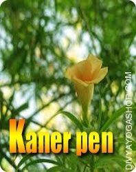 Kaner wooden pen for writing yantra