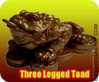 Three Legged Toad