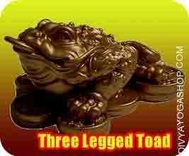three-legged-toad.jpg