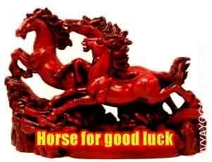 horse-for-good-luck.jpg