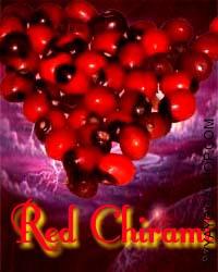 Red Chirami beed