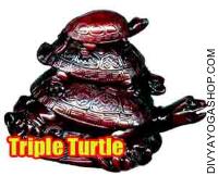 Triple Turtle for wealth