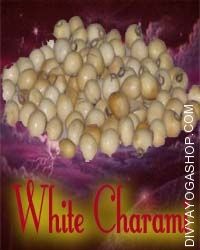 White chirami beed