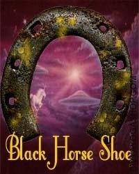 Black horse shoe