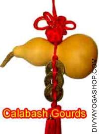 Calabash Gourds