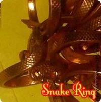 Snake ring for obstacles