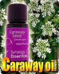 Caraway (Carum Carvi) oil