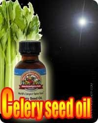 Celery Seed (Apium Graveolens) oil