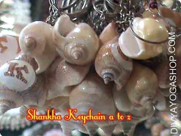 Sea shell Name (A to Z) Keychain