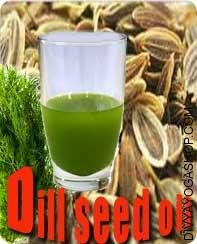 Dill Seed (Anethum Sowa) oil