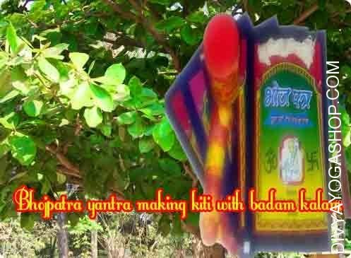 Bhojpatra yantra making set with badam tree kalam 