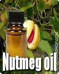 Nutmeg (Myristica Fragrans) oil