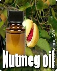 Nutmeg (Myristica Fragrans) oil
