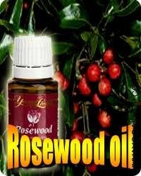 Rose Wood (Aniba Rosaeodora) oil