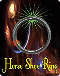 Horse Shoe Ring