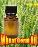 Wheat Germ (Triticum Vulgare) Oil 