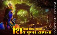 Shiva krupa sadhana for prosperity