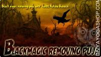 Black magic removing puja