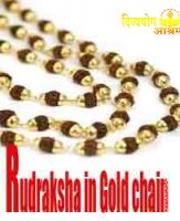 Rudraksha mala in gold chain