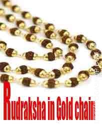 Rudraksha mala in gold chain
