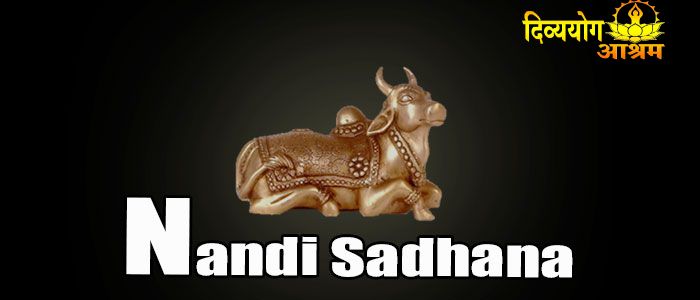 Nandi Sadhana
