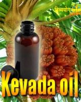 Kevada or kewra oil