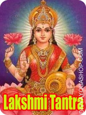 Lakshmi Tantra Sadhana for Accomplishment in Business