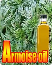 Armoise oil